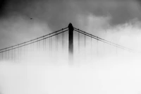 Descarga Impresionante Fondo de Pantalla Blanco y Negro de un Puente Colgante