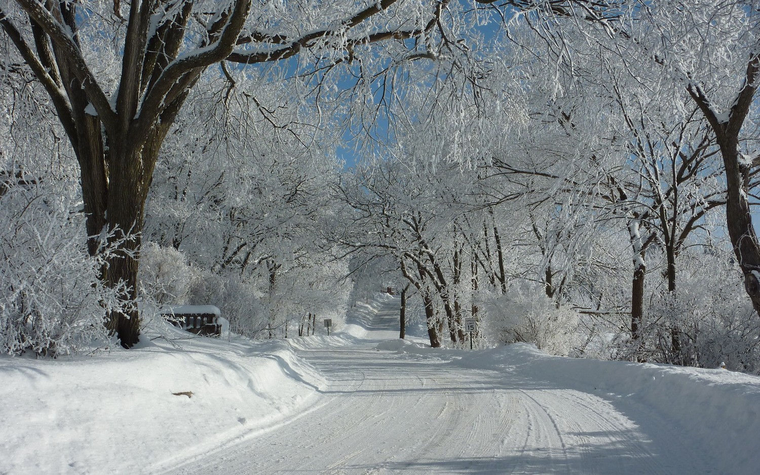 Explora la Belleza de un Paisaje Invernal