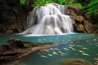 Cascades Erawan : Un Oasis Naturel à Couper le Souffle