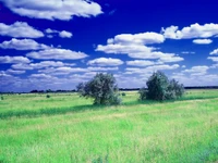 Papier Peint de Prairie et Nuages Éblouissants