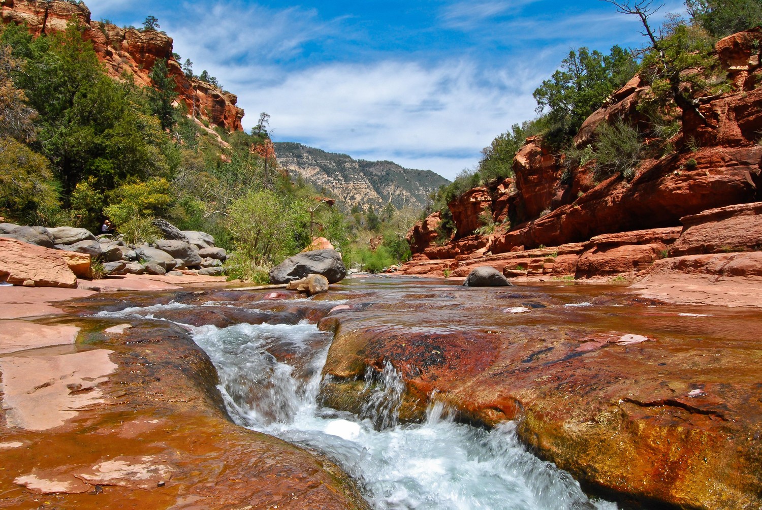 Explora la Belleza del Cañón Oak Creek