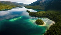 Espectacular Escenografía Aérea de la Naturaleza con Bosque y Río