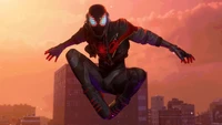 Fond d'Ecran 4K de Spider-Man: Miles Morales