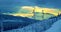 Espectacular Paisaje Invernal con Montañas Cubiertas de Nieve