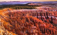 Plongez dans la Beauté de Bryce Canyon