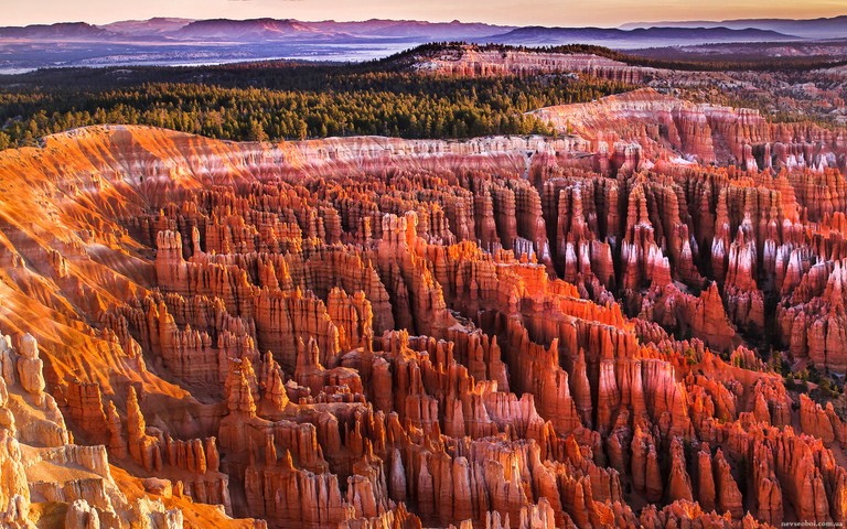 Immerse Yourself in the Beauty of Bryce Canyon