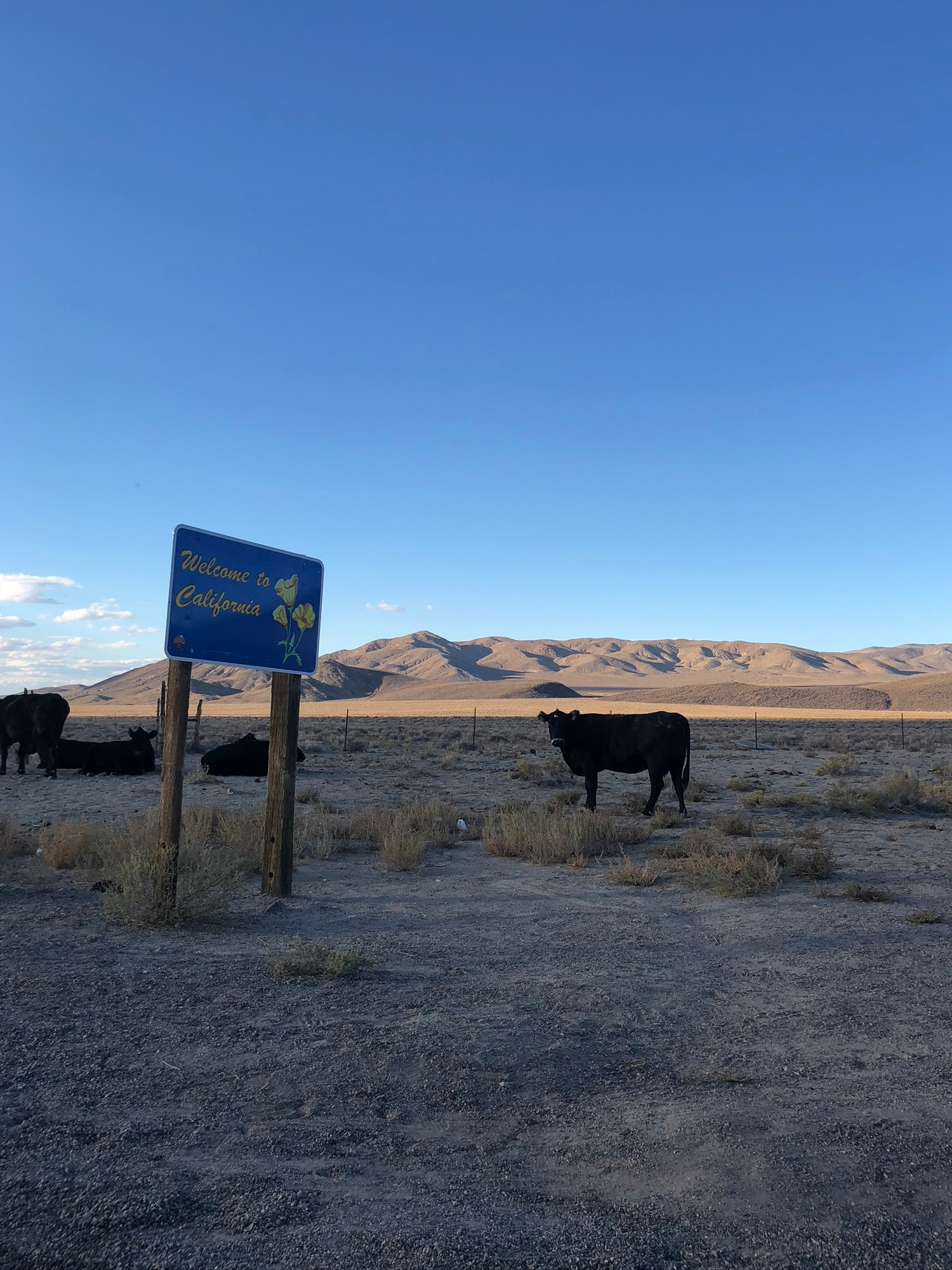 Explore the Breathtaking Landscapes of Death Valley