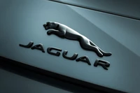 Fondos de Pantalla de Alta Calidad del Logo Jaguar en Verde Pastel