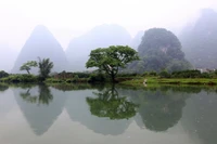 Explora la Belleza de la Naturaleza con Nuestro Fondo de Reflejo Sereno