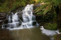 Explora la Belleza de Hopetoun Falls