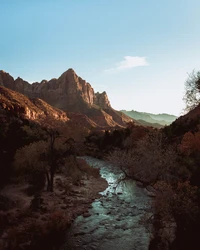 Explora la Belleza del Parque Nacional Zion