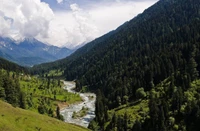 Explore the Breathtaking Beauty of the Himalayan Valley