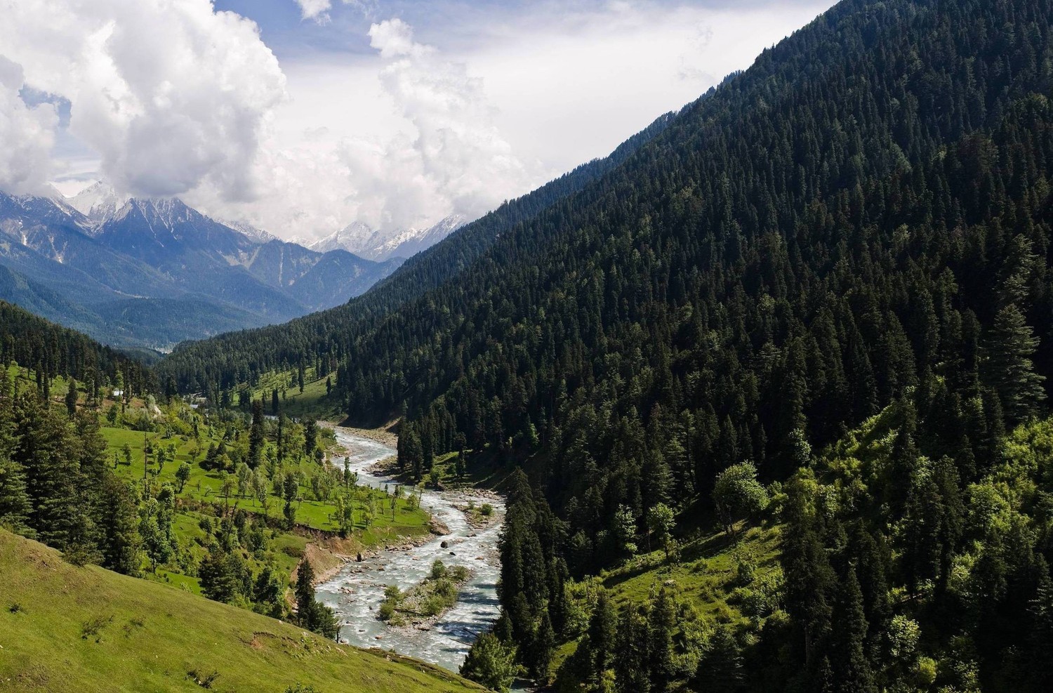 Explorez la Beauté Éblouissante de la Vallée Himalayenne