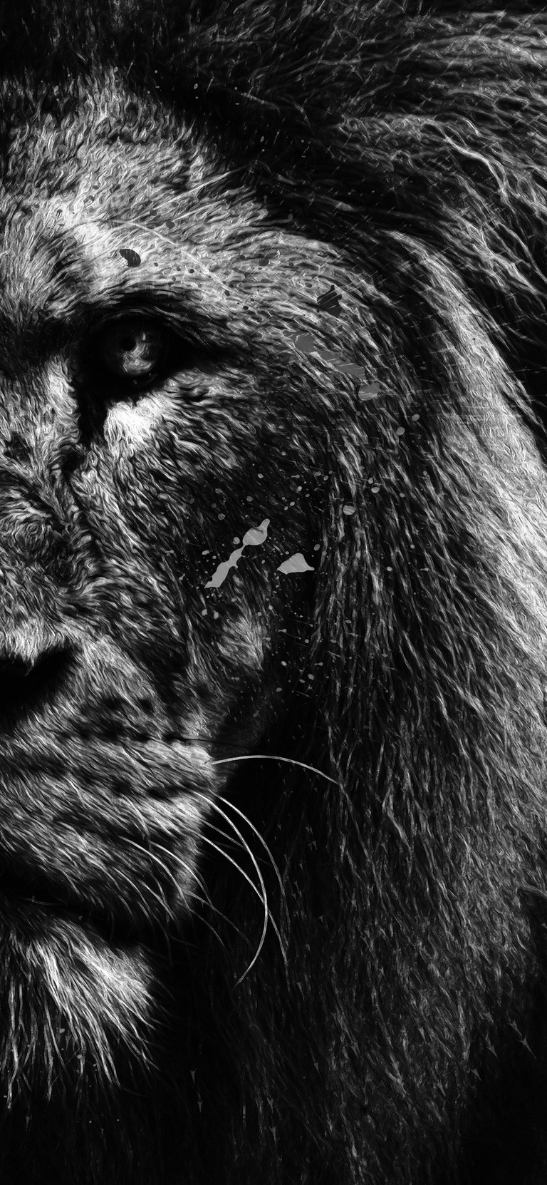 Majestic Lion Face Wallpaper in Black and White