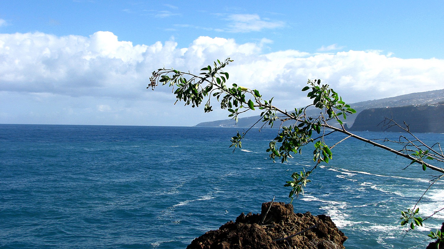 Breathtaking Oceanic Wallpaper for Your Desktop