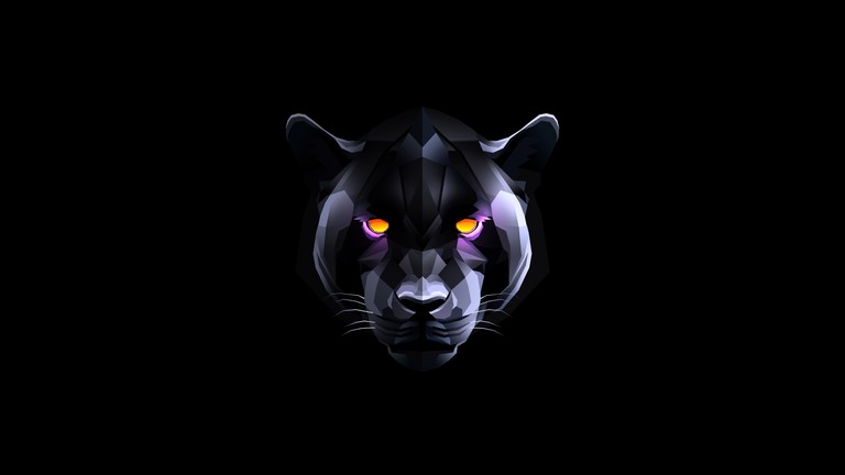 Download the Stunning Black Panther Wallpaper in 5K