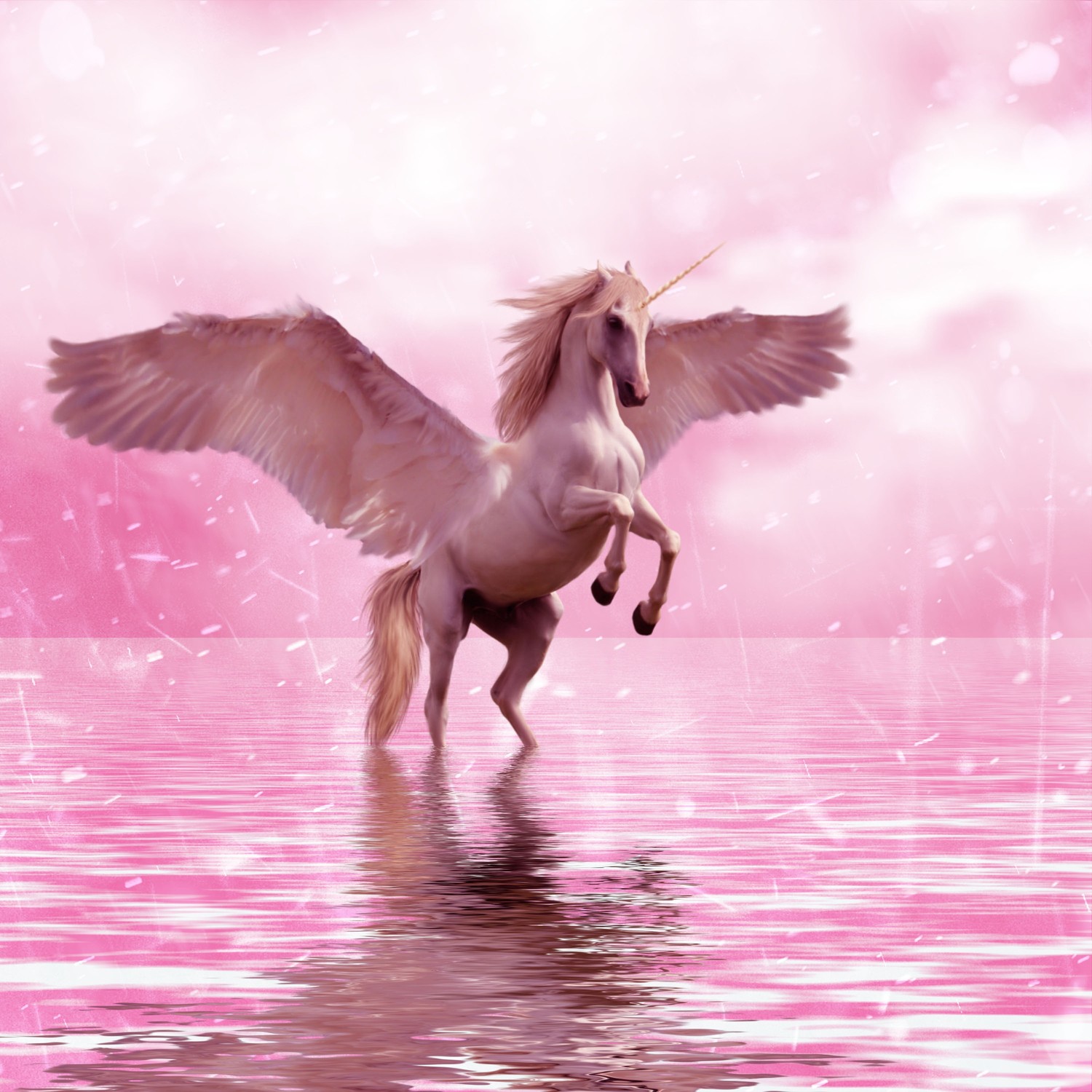 Captivating Winged Unicorn Wallpaper