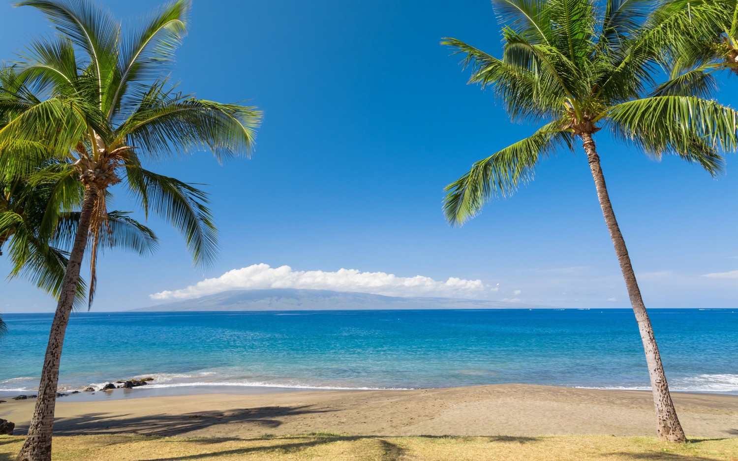 Breathtaking Views of Hawaiian Beaches