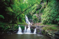 Explora la Serenidad de una Cascada en la Selva Tropical