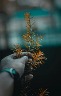 Téléchargez le Fond d'Écran de Tige de Plante Vibrante