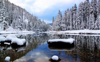 Explora la Belleza de un Reflejo Cubierto de Nieve