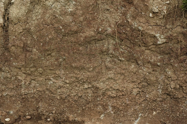 Soil and Rock Texture Wallpaper