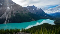 Explora el impresionante Peyto Lake en el Parque Nacional Banff