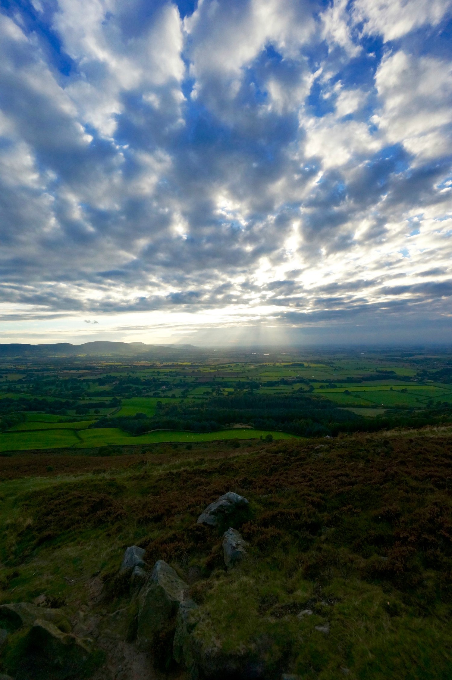 Experience the Beauty of Highland Grasslands