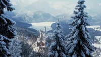 Découvrez la Vue Époustouflante d'Hiver du Château de Neuschwanstein