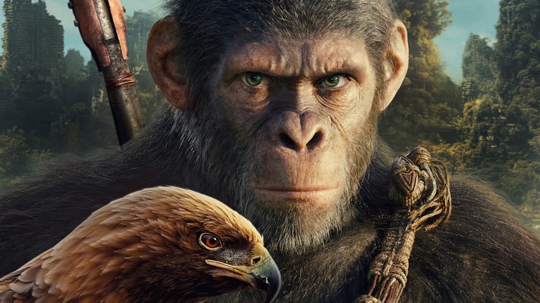 Explore the Kingdom of the Planet of the Apes Wallpaper