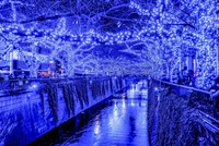 Explora las Encantadoras Reflexiones Azules del Día de Navidad en Tokio