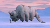 Appa - Votre fond d'écran préféré du bison volant