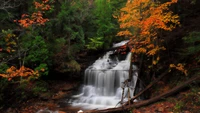 Autumn Waterfall in Plitvice Lakes National Park