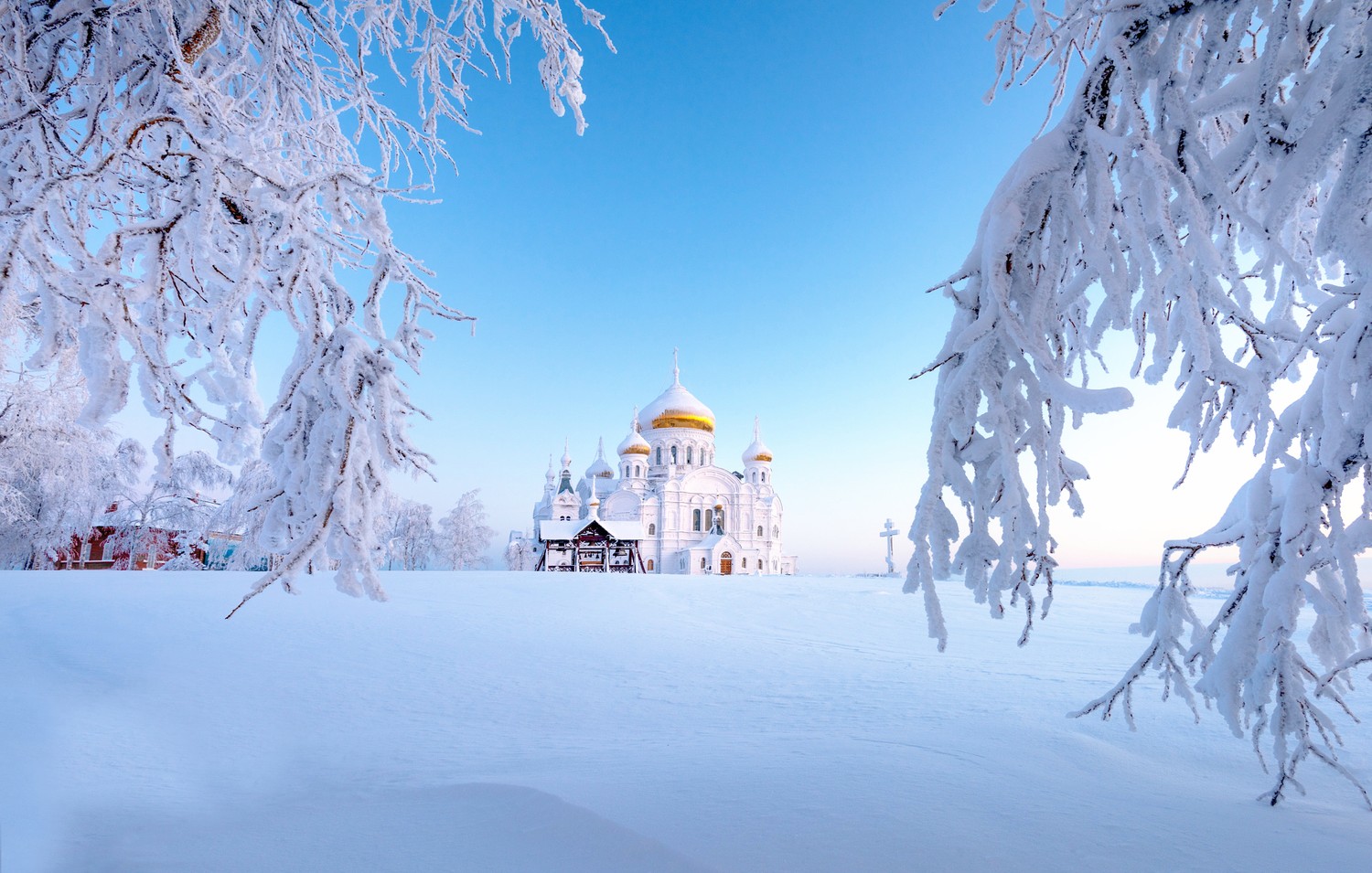 Explore Our Captivating Winter Wonderland Wallpaper