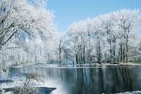 Découvrez Notre Magnifique Fond d'Hiver