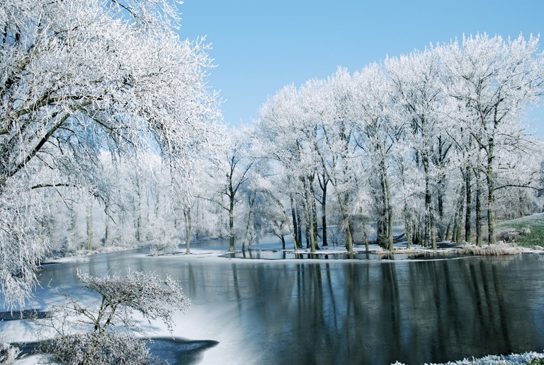 Explore Our Beautiful Winter Wonderland Wallpaper