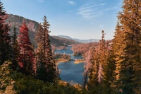 Découvrez la Beauté de la Nature avec Ce Superbe Fond d'Écran