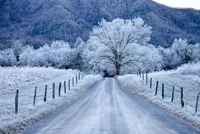 Explore the Beautiful Winter Scene in Grand Teton National Park