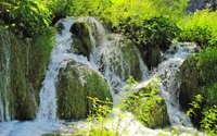 Cascada Asombrosa en la Esplendor de la Naturaleza