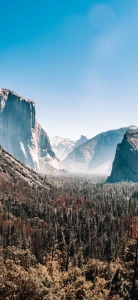 Descubre la majestuosa belleza del Valle de Yosemite