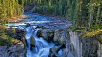 Explore the Majestic Waterfall in Jasper National Park