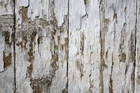 Weathered Wood Texture Wallpaper for Your Desktop