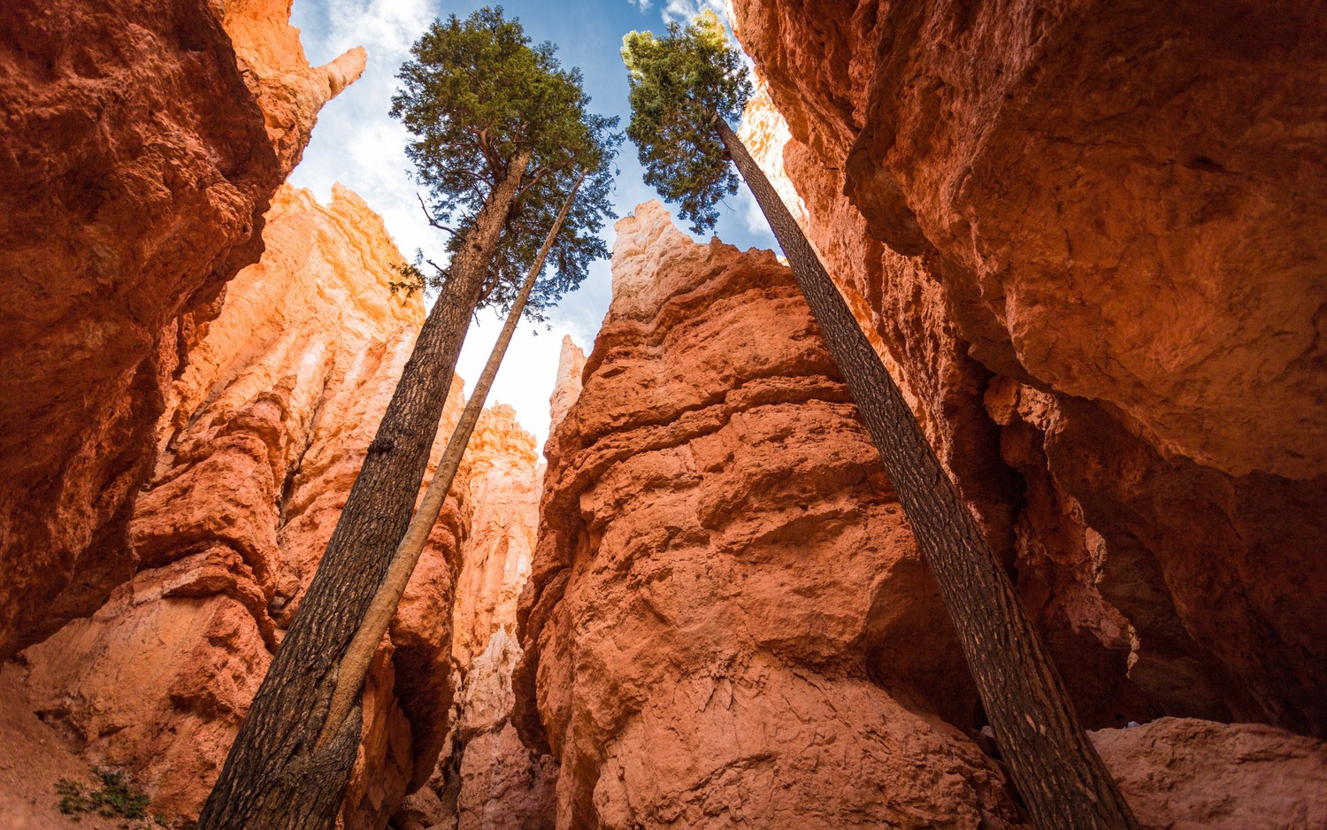 Téléchargez Notre Fond d'Écran Étonnant de Bryce Canyon