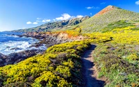 Experimenta la Belleza de Big Sur: Descarga el Fondo de Pantalla en 4K