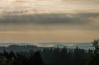 Scène Époustouflante à l'Aube avec des Arbres en Silhouette et des Montagnes