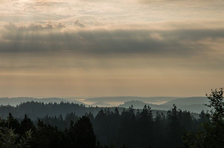 Breathtaking Dawn scenery with Silhouette Trees and Mountains