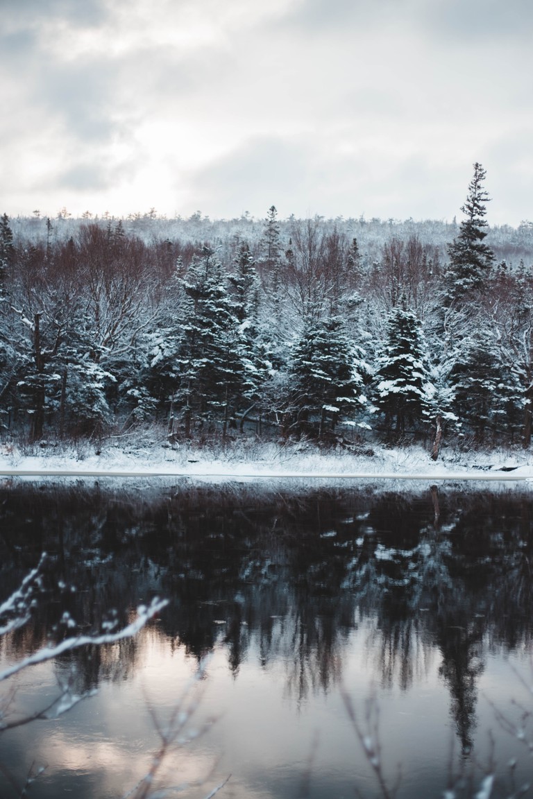 Download Stunning Winter Pond Reflection Wallpaper