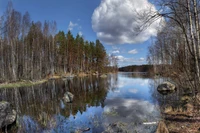 Paysage Naturel Éblouissant de Carélie