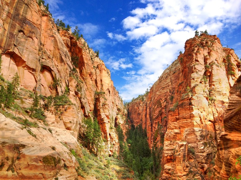 Stunning Zion National Park Landscape Wallpaper