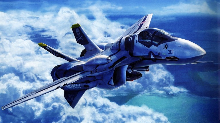 Immerse Yourself in the Grumman F-14 Tomcat Experience